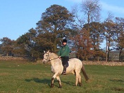 Horse riding, self catering log cabins, Peak District
