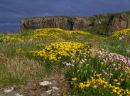 Mull, Isle of Mull B&B