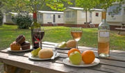 Caravans, New Forest campsite & caravan park
