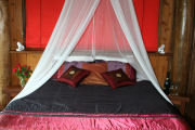 Bedroom,wilderness retreat in the Cairns Highlands