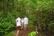 Guided walks, Osa Peninsula eco lodge, Costa Rica