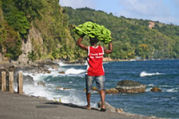 Beach, guest house in Dominica