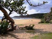Beach, resort & spa in Grenada