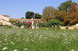 Garden at Arles famhouse accommodation, France