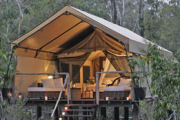 Deluxe tent, Australian bush camp accommodation