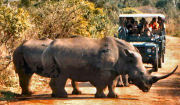 Game viewing, Safari lodge in KwaZulu Natal, South Africa