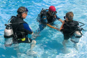 Snorkelling, Grand Anse Beach resort