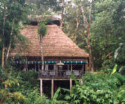 Tented Camp, Jungle lodge and camp in Nepal