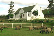 Cottage, Bed & Breakfast in the Klein Karoo winelands, South Africa