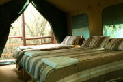 Bedroom, Tree house accommodation on the Garden Route, South Africa