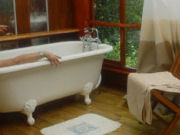 Bath, Tree house accommodation on the Garden Route, South Africa