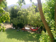 Garden, B&B in Andalucia