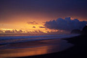 Wildlife, beachfront accommodation in Costa Rica