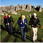 Projects, Budget accommodation, New Zealand