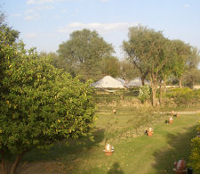 India hotel retreat, gardens