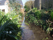 Self catering cottage, brook