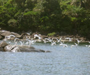 Sierra Leone guest house