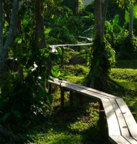Walkways, Belize jungle lodge