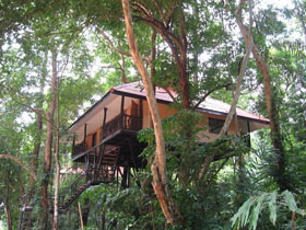 Tree house jungle activity holidays in Thailand