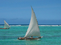 Zanzibar beach accomodation, Matemwe_sailing