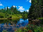 Algonquin Park holidays, main image