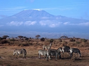 Amboseli National Park holidays, main image