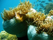 Andaman Islands&nbsp;holidays, main image