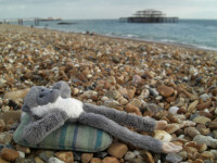 Travel pet