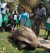 kids and giant tortoise