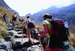Trekking the Inca Trail
