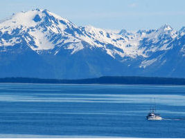 The Arctic