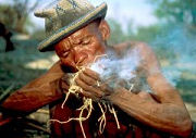 San (bushmen) at work in Namibia