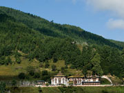 Bhutan Forests