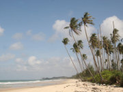 Bintan holidays, main image