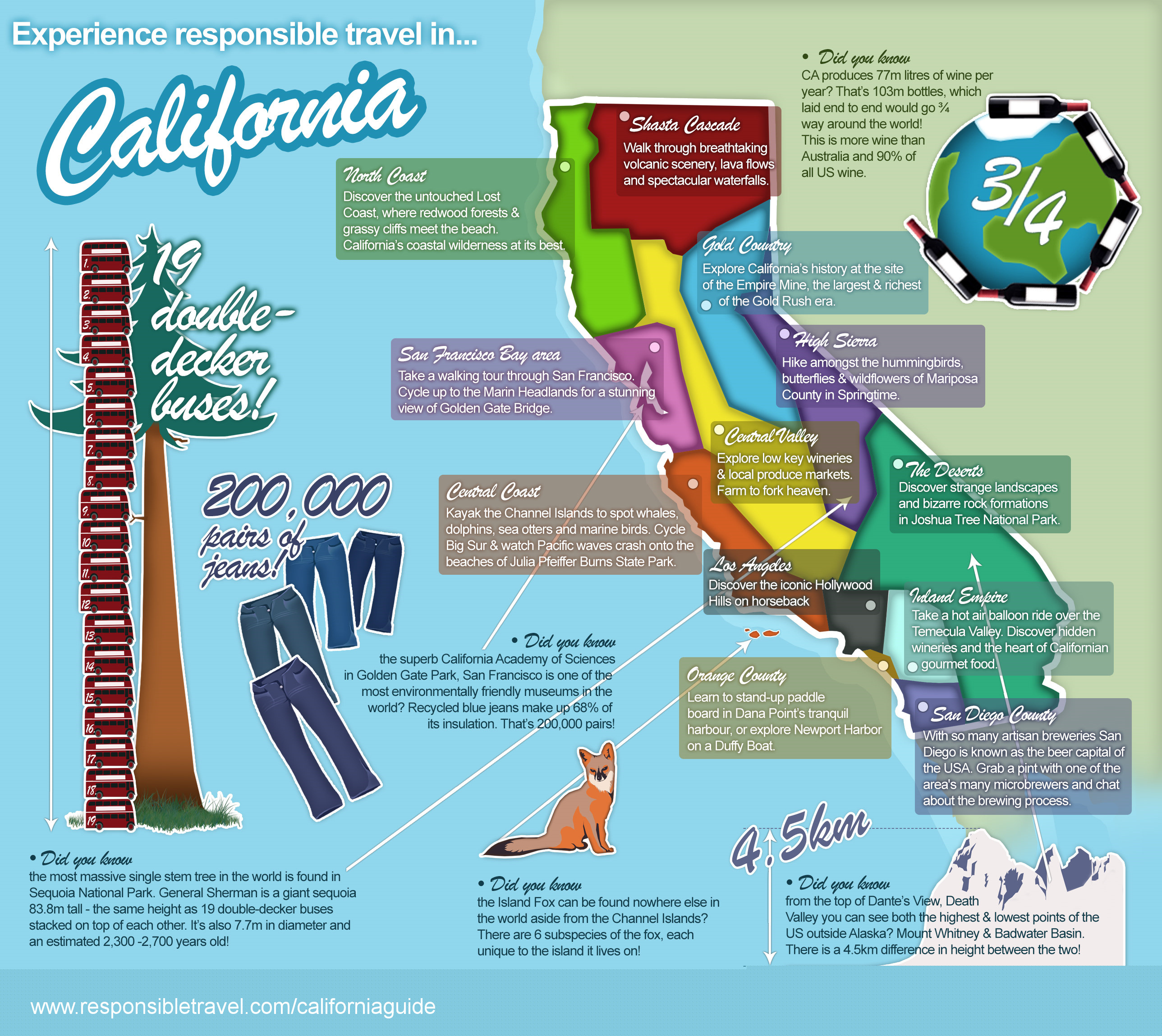 California infographic. Travel like a local