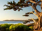 California travel guide