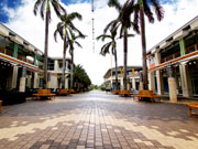 Camana Bay, Cayman Islands. Photo by Cayman Islands Tourist Board