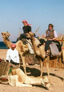 Camel safaris Dahab
