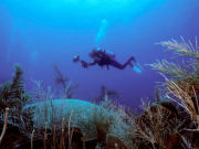 Canouan holidays, main image