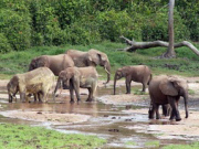 Central African Republic holidays, main image