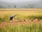 Central Thailand holidays, main image
