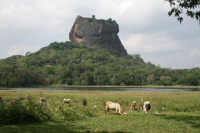 Sri Lanka holiday