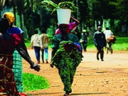Congo holidays, main image