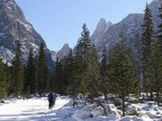 Cross country skiing, main image