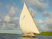 Cruising holidays, main image