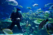 Diving in Lanzarote. Photo by Lanzarote Tourist Board