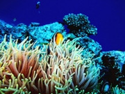 Dive accommodation, main image