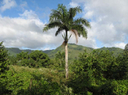 Dominican Republic scenery