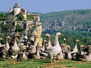 Dordogne holidays, main image