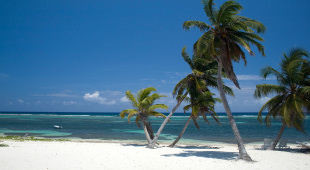 East End beach, Cayman Islands. Photo by Cayman Islands Tourist Board